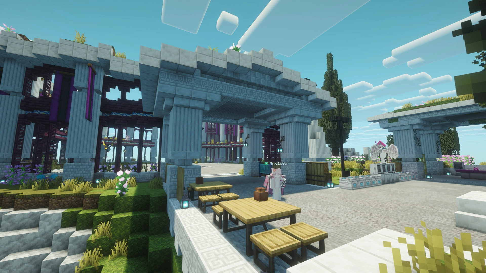 Zone des raids