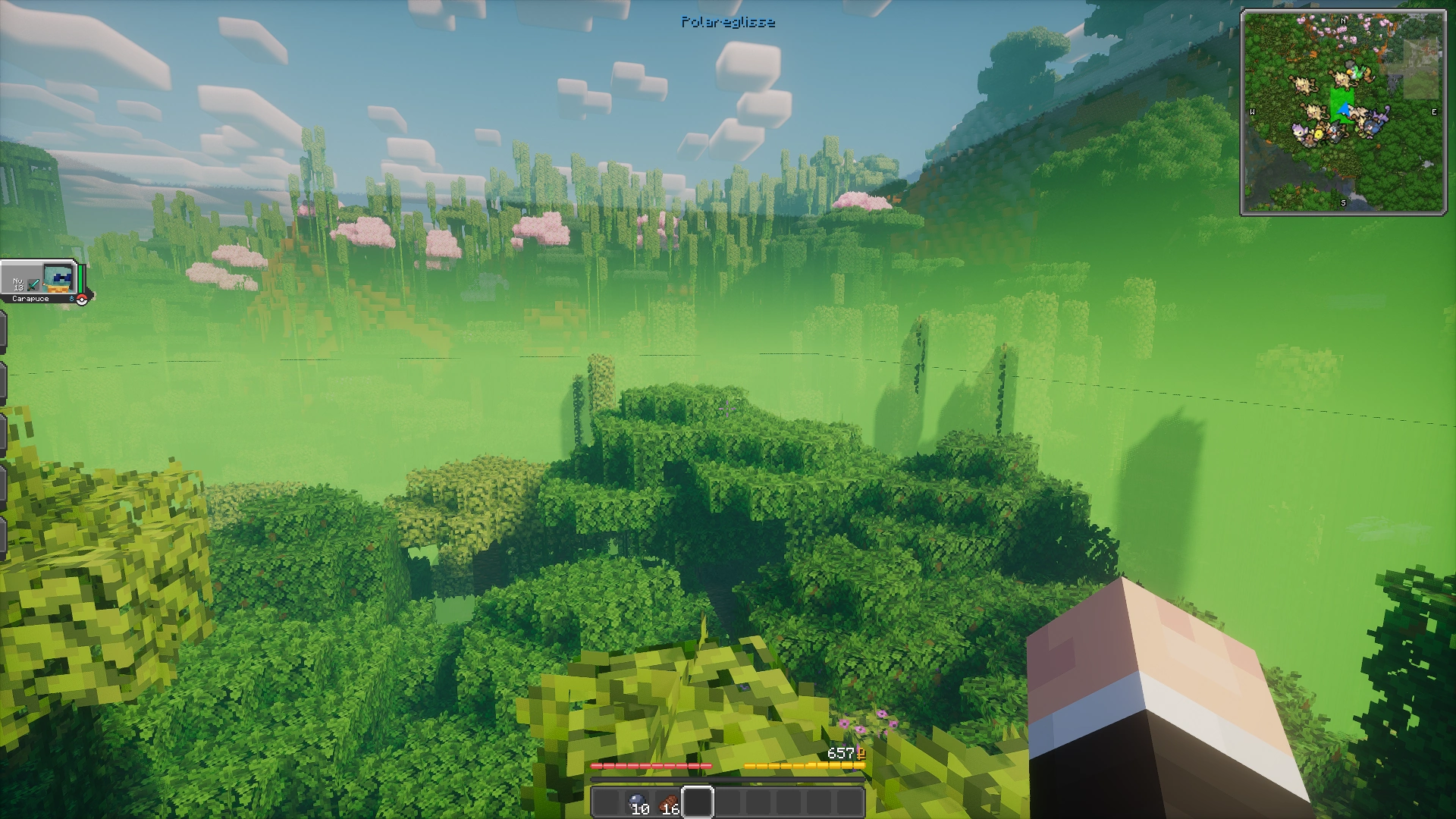 capture d'écran montrant le nouveau mode territoire qui permet de visualiser les bordures de villes