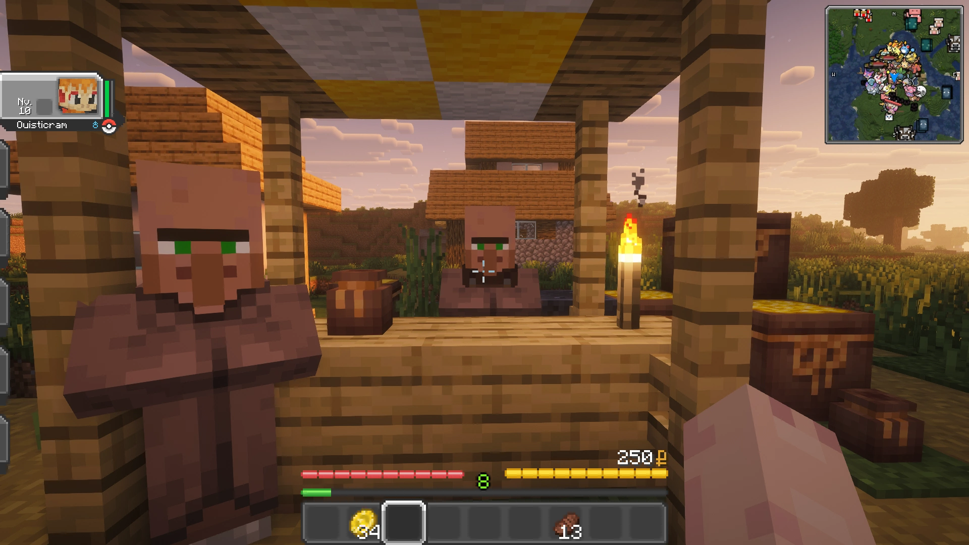 Villageois de Minecraft dans un village