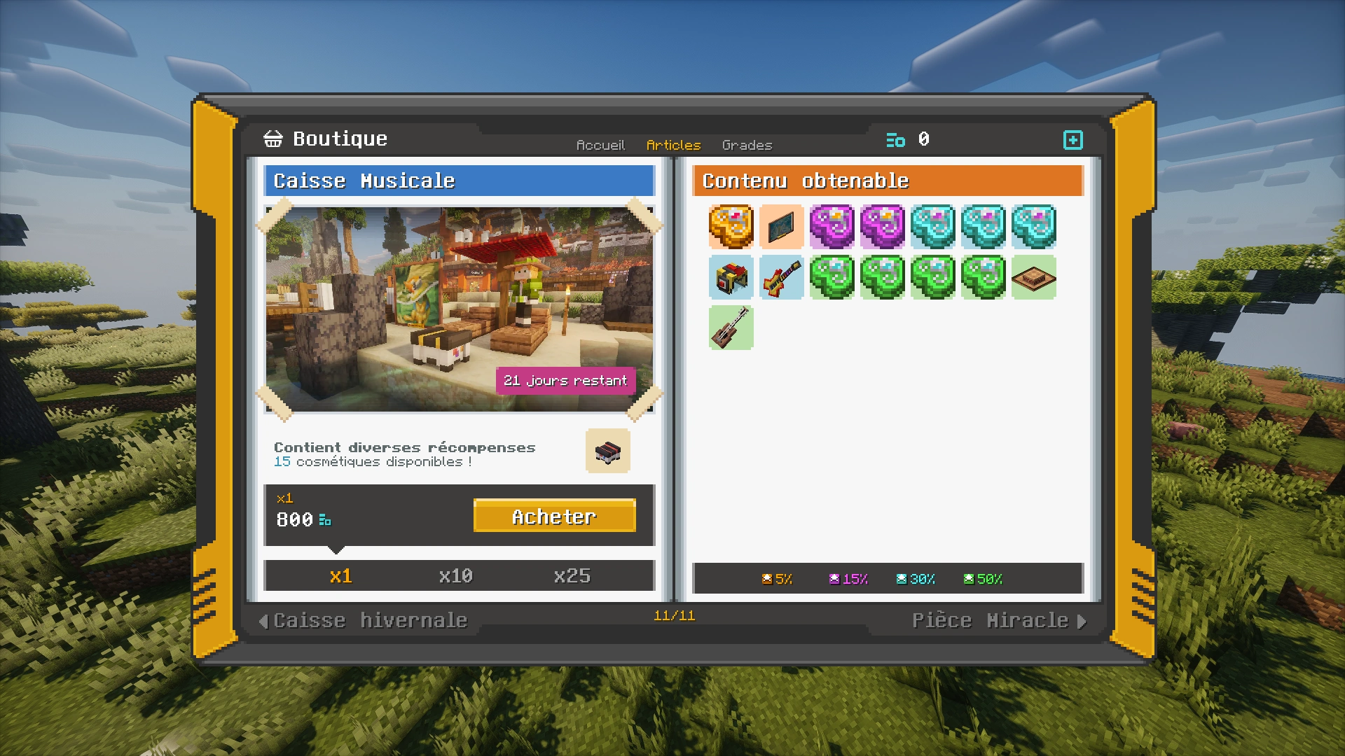 Interface de la boutique, page de la caisse musicale