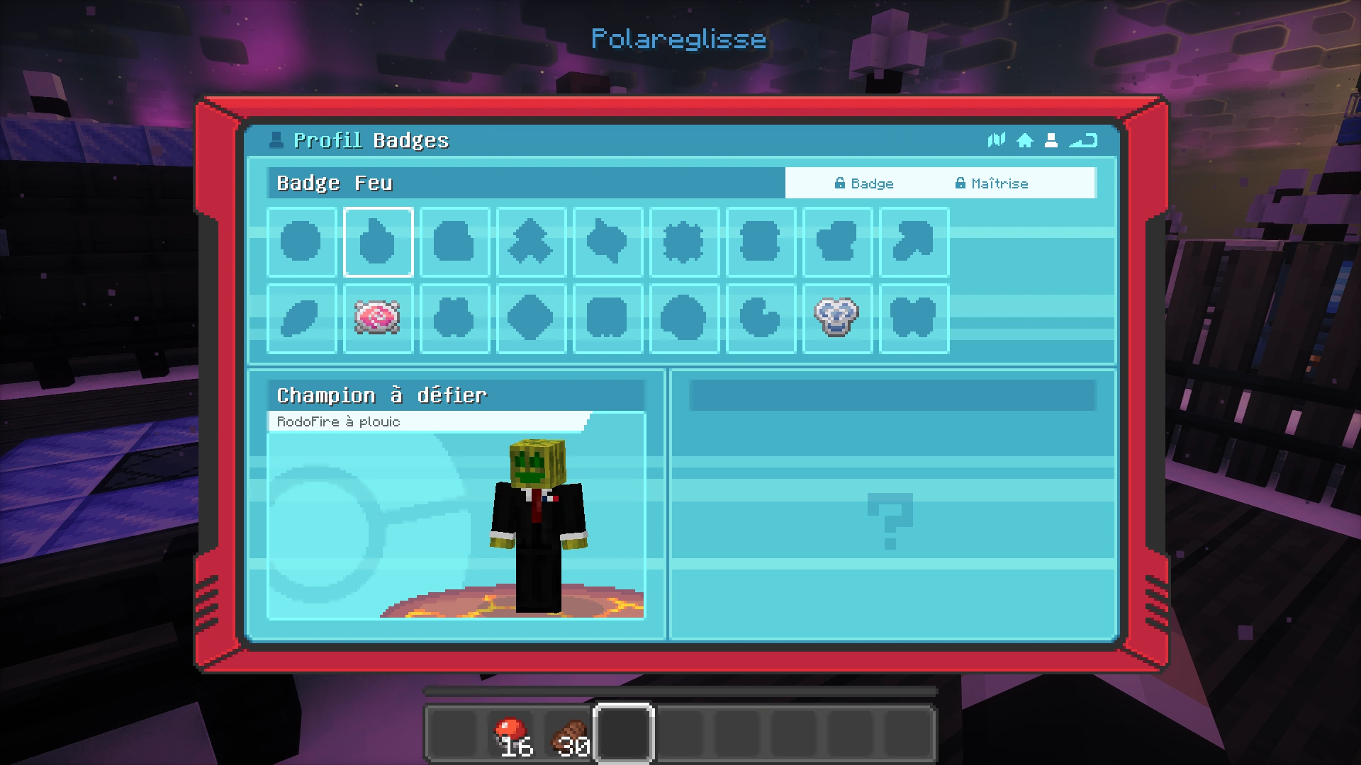 Capture d'écran de l'onglet "badges" de l'interface du profil.