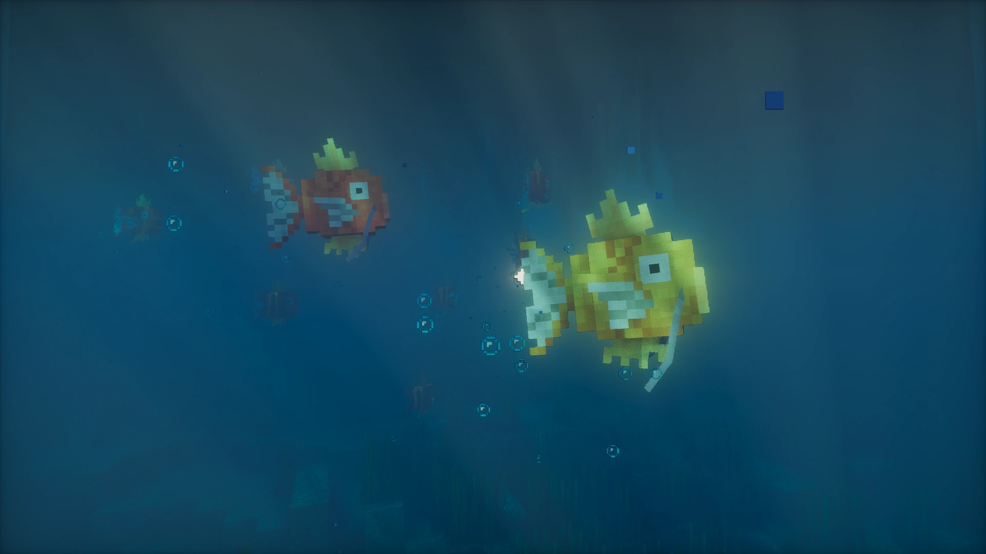 Des magicarpes se déplaçant en groupe