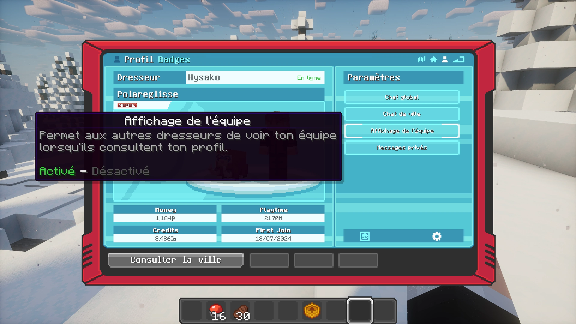 Capture d'écran des nouveaux paramètres à configurer sur sa carte de dresseur